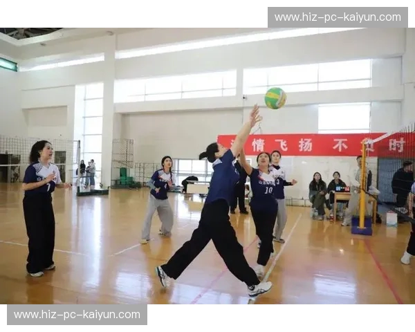 排球体育馆——释放热情,拥抱飞扬 排球体育馆——释放热情,拥抱飞扬